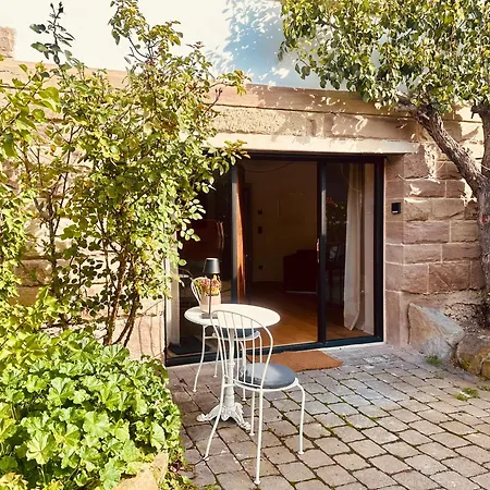 Garden Modernes Garden Nahe Stuttgart Terrasse Parkplatz * Aidlingen